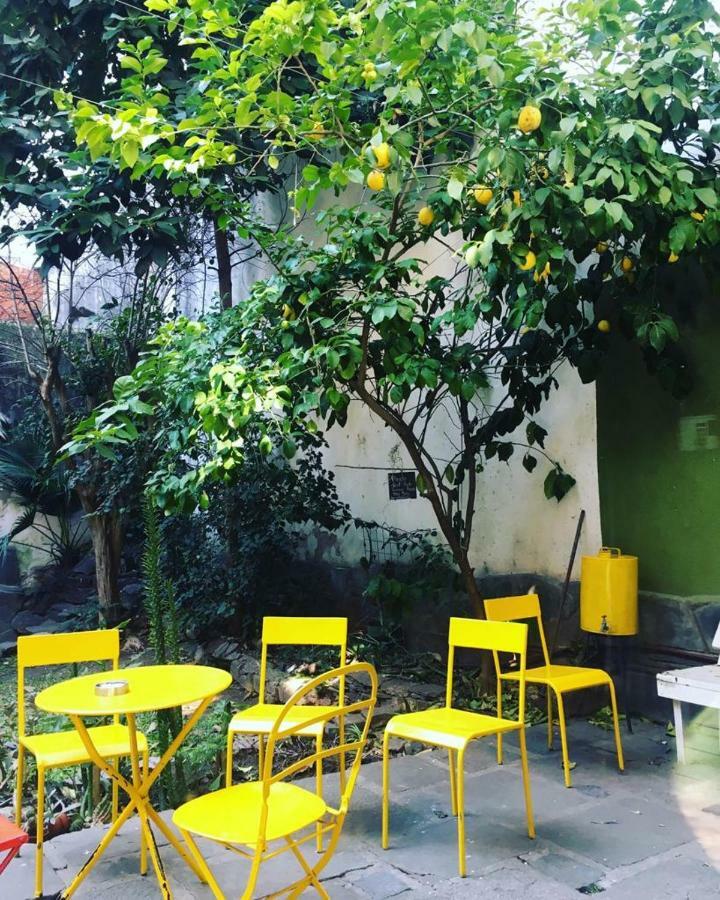 La Lechuza Hostel Rosario Eksteriør billede